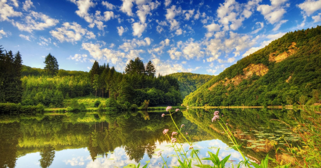 Lake with green grass and trees and a hill in the background
