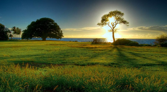 Nature