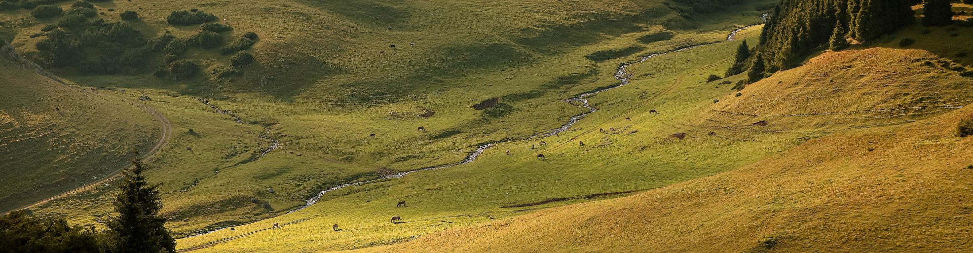 https://site.ngkerkmoregloed.co.za/wp/wp-content/uploads/2022/04/pexels-денис-бочаров-10901467-1920x500.jpg